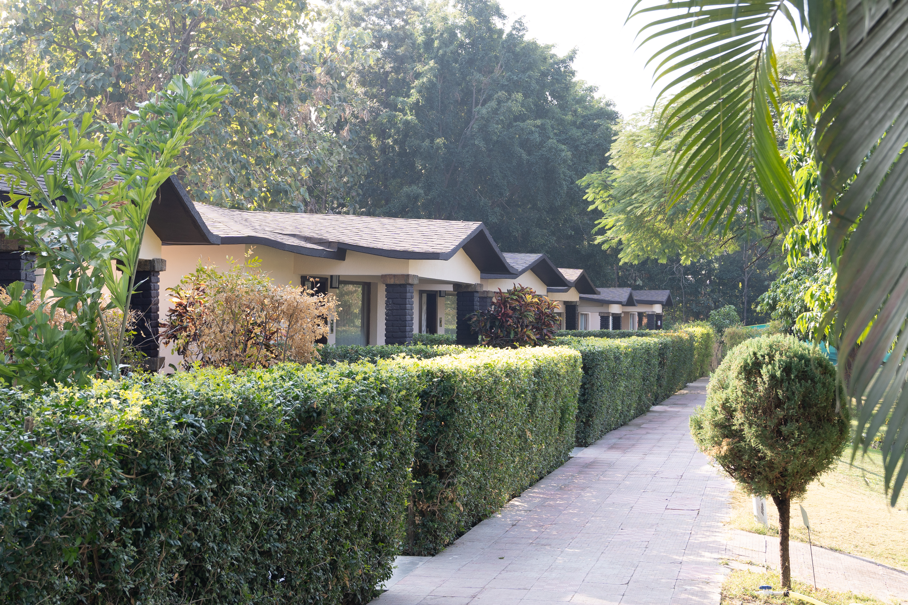 manu maharani resort