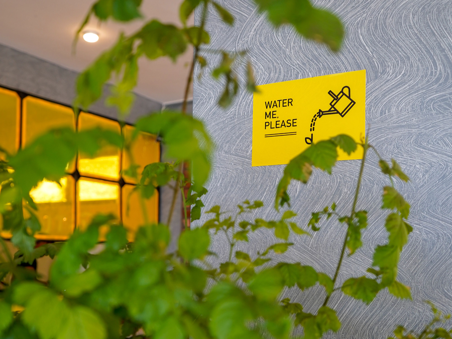 the hosteller mcleodganj upper bhagsu