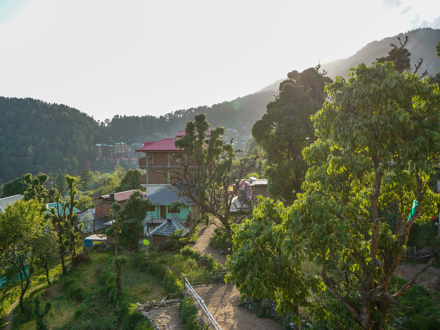the hosteller mcleodganj upper bhagsu