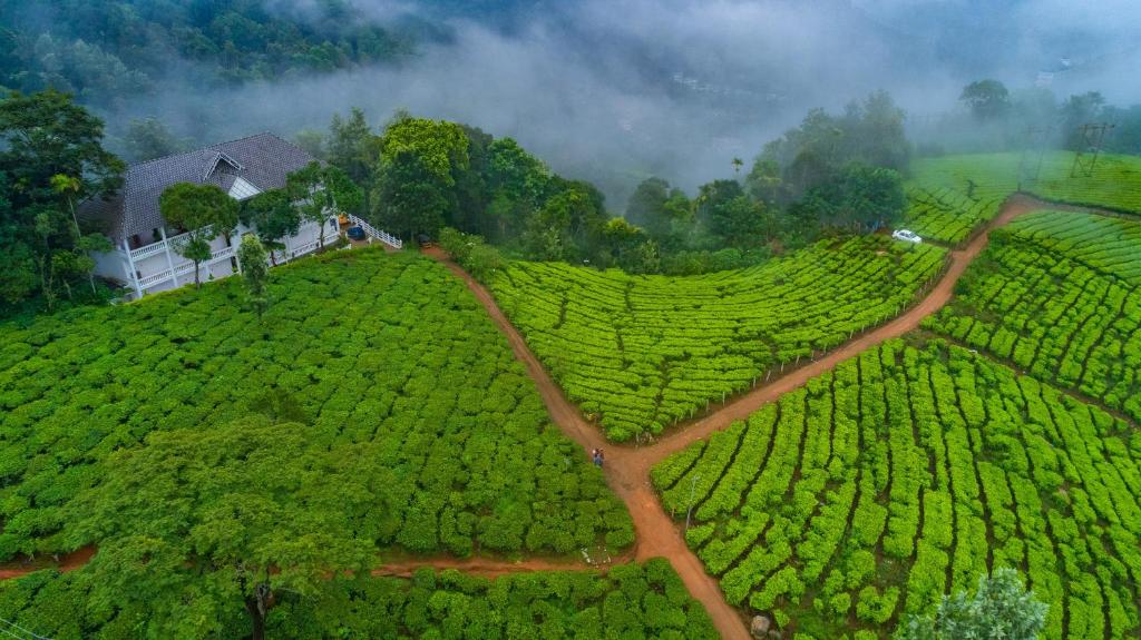 Tea Harvester,Chithirapuram,3 star