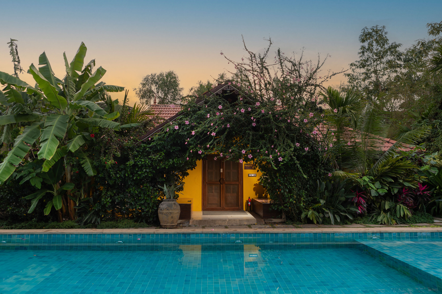 orchid tree wellness retreat