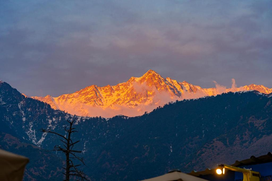 The Hosteller Mcleodganj, Mall Road,Mcleod Ganj, Dharamshala,3 star