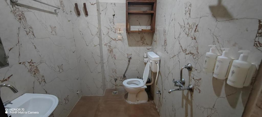 the hosteller udaipur