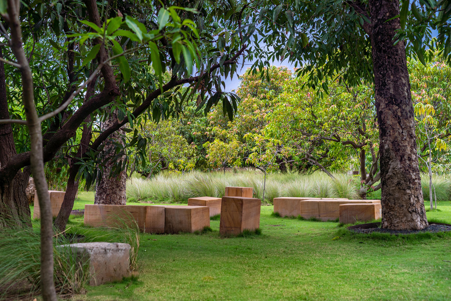 woods at sasan