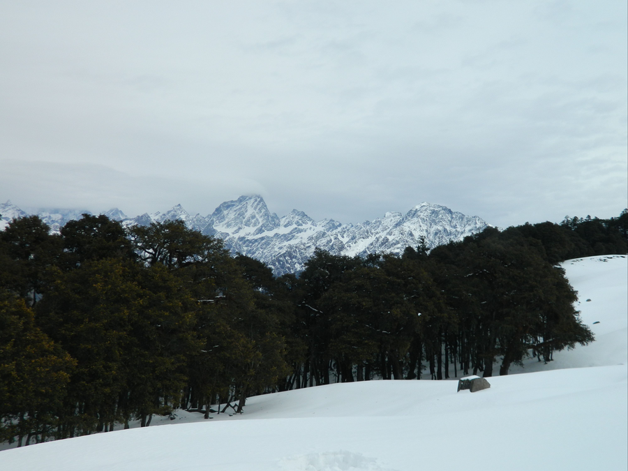 The Hosteller Kasol, Parvati Valley,Old Kasol,3 star