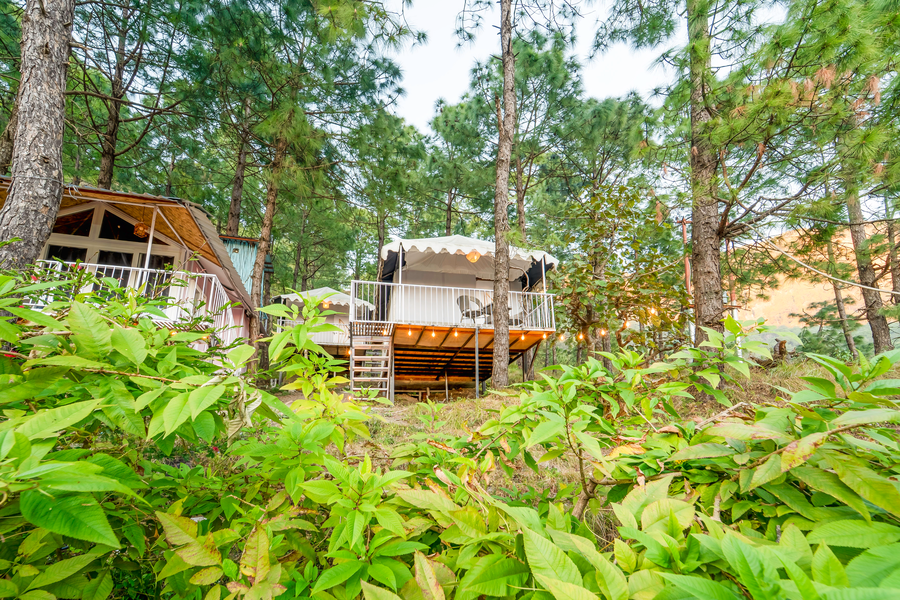 paradise pool resort