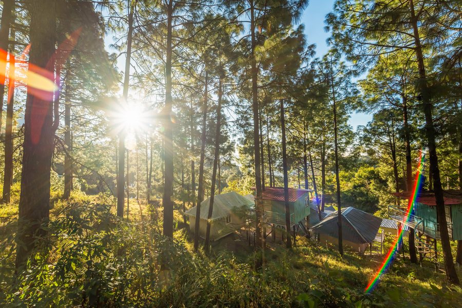 paradise pool resort