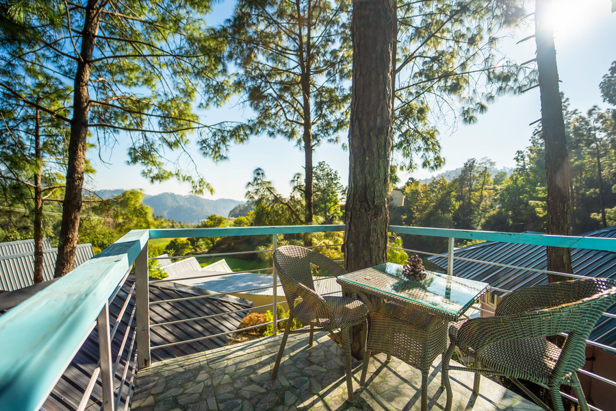 paradise pool resort