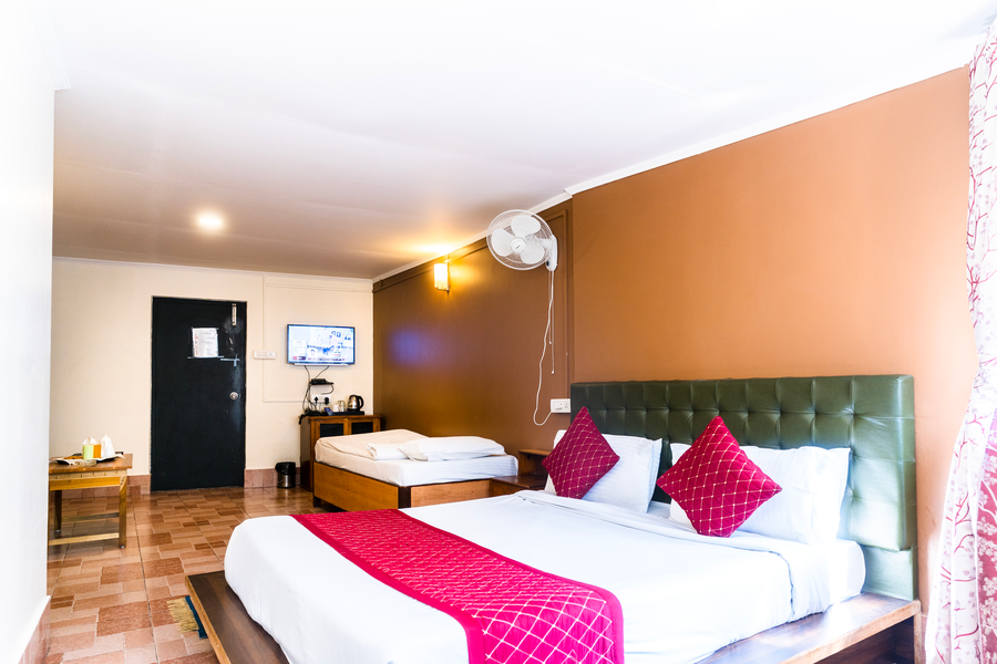 sparrow juniper tree near mg marg