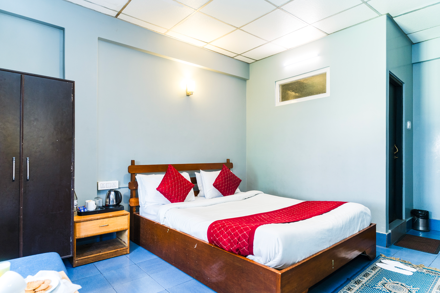 sparrow juniper tree near mg marg