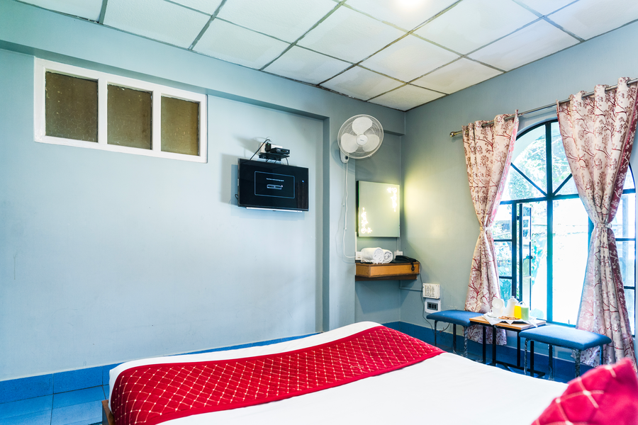 sparrow juniper tree near mg marg