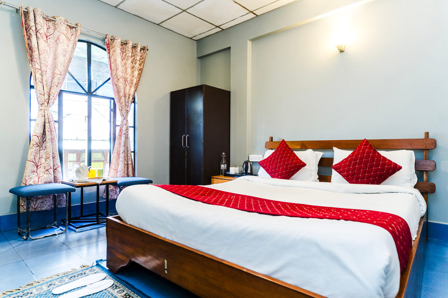 sparrow juniper tree near mg marg