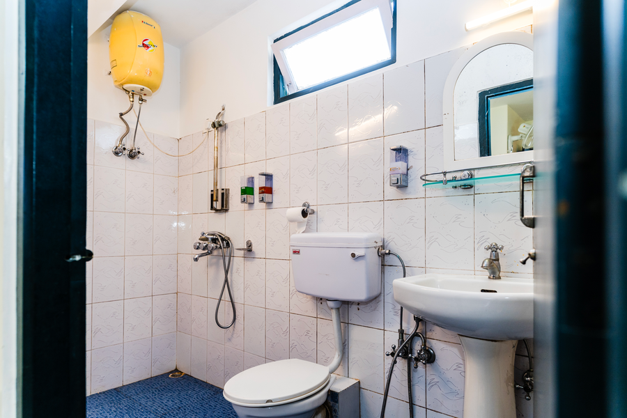 sparrow juniper tree near mg marg