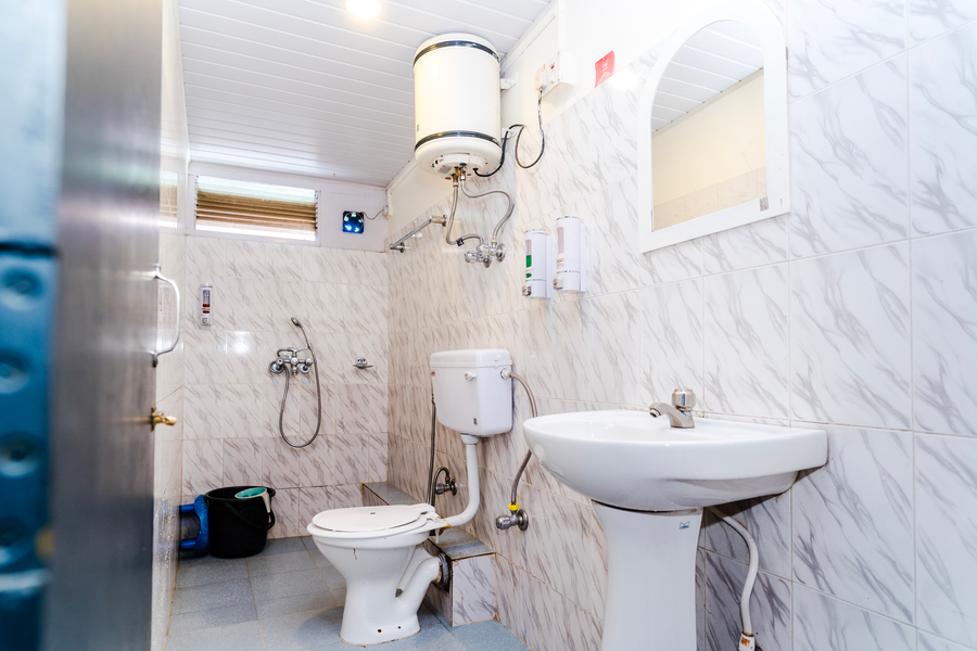 sparrow juniper tree near mg marg