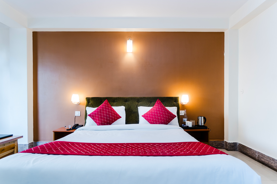 sparrow juniper tree near mg marg