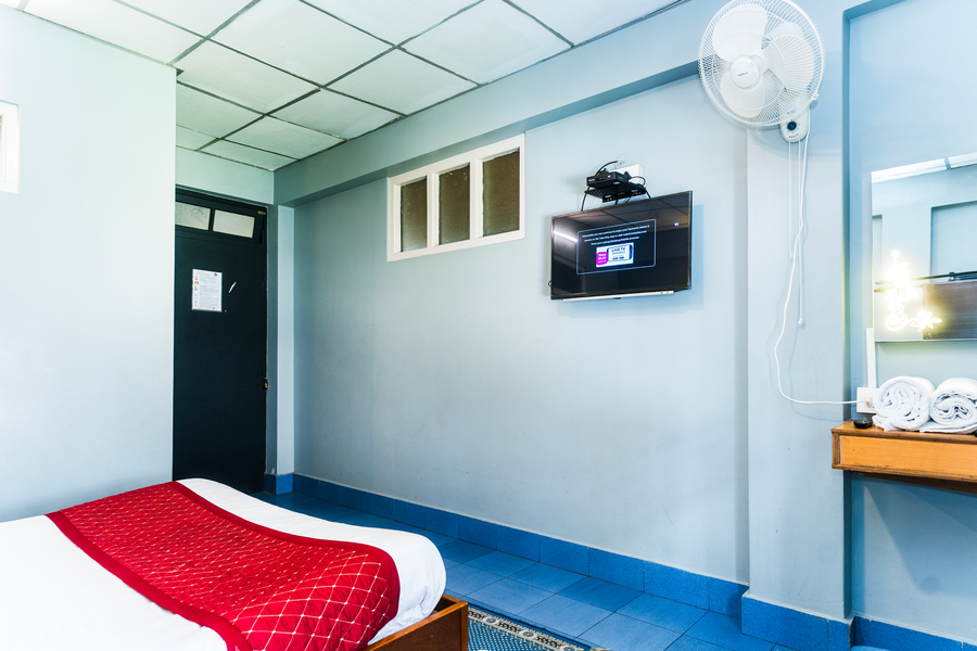 sparrow juniper tree near mg marg