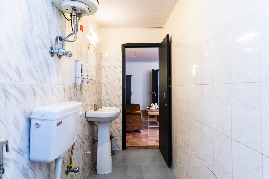 sparrow juniper tree near mg marg