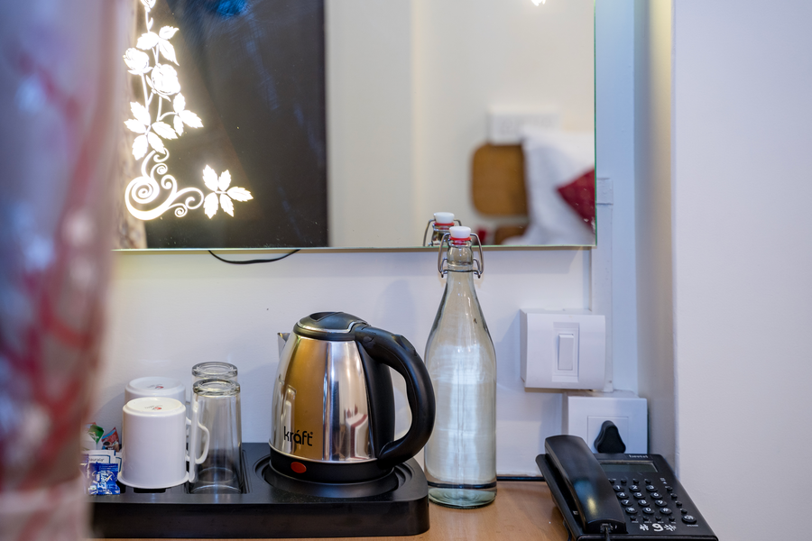 sparrow juniper tree near mg marg