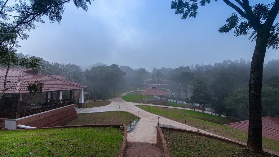 tapovana the fern heritage resort sakleshpur