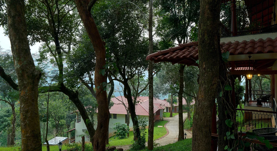 tapovana the fern heritage resort sakleshpur