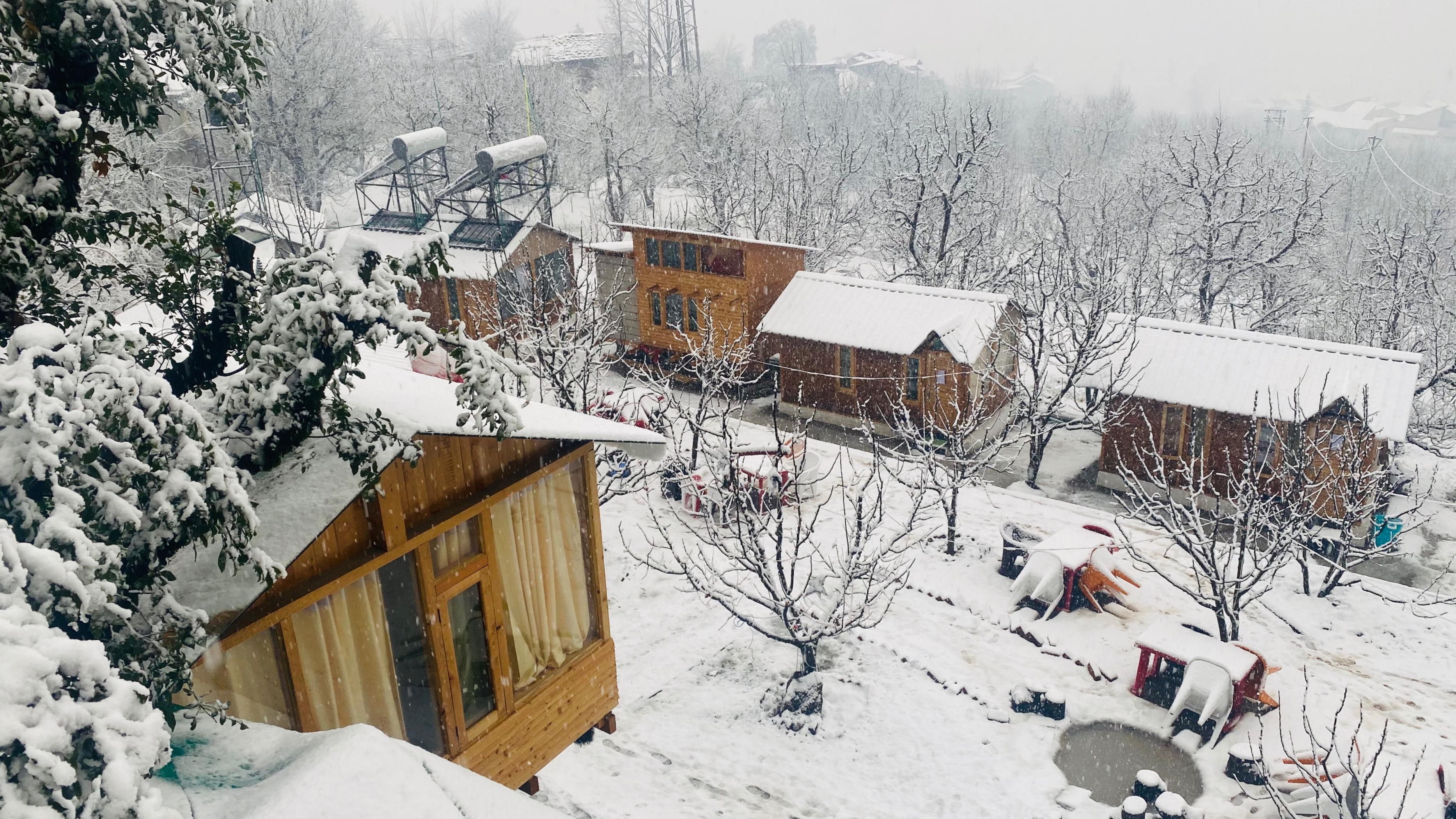 Manali Treehouse And Cafe