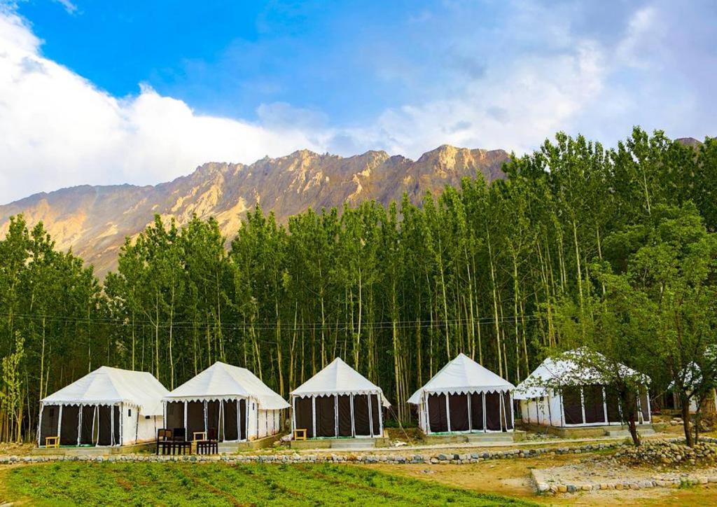 Terrain Ladakh Camping