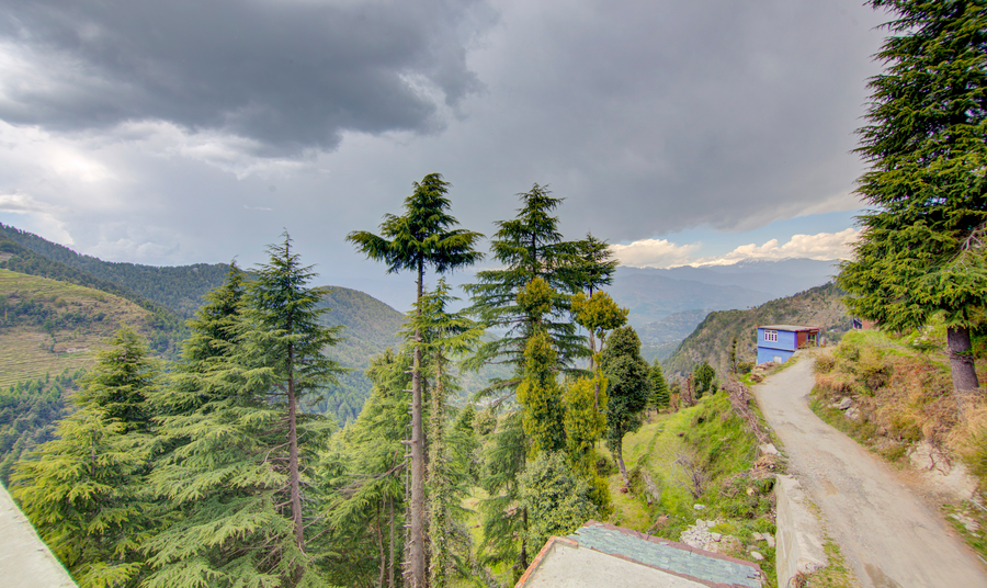 Treebo Down Town, Dalhousie,Khodagoth Karelnu, Dalhousie, Himachal Pradesh, Karelnu, Dalhousie, Himachal Pradesh 176304,3 star