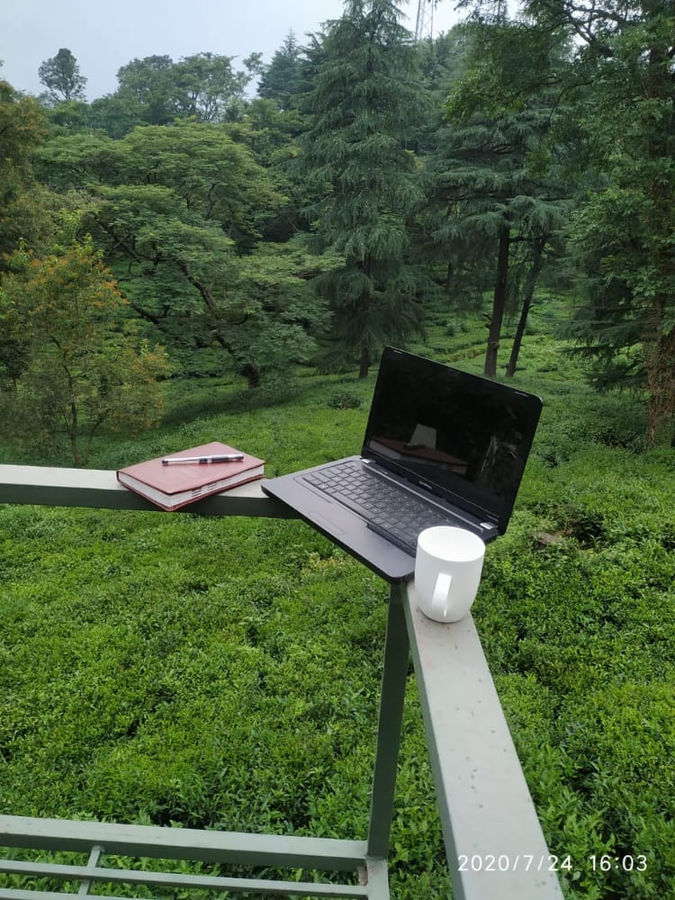 lamrin norwood green palampur