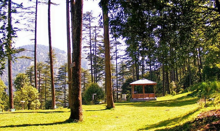 baris resort dhanaulti