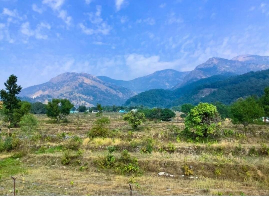 the jungle castle resort