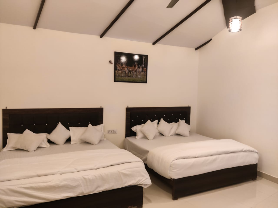 the jungle castle resort