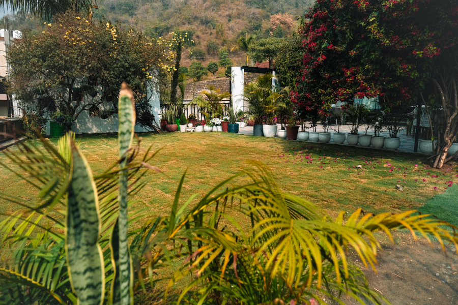 the bougainvillea retreat dehradun