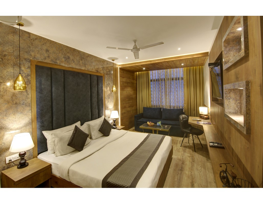 hotel town pallace patel nagar delhi