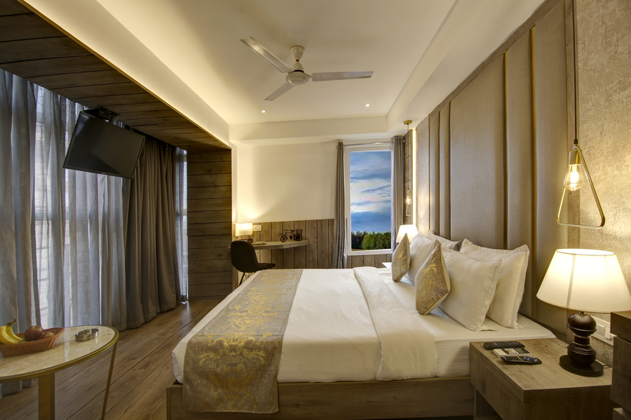 hotel town pallace patel nagar delhi