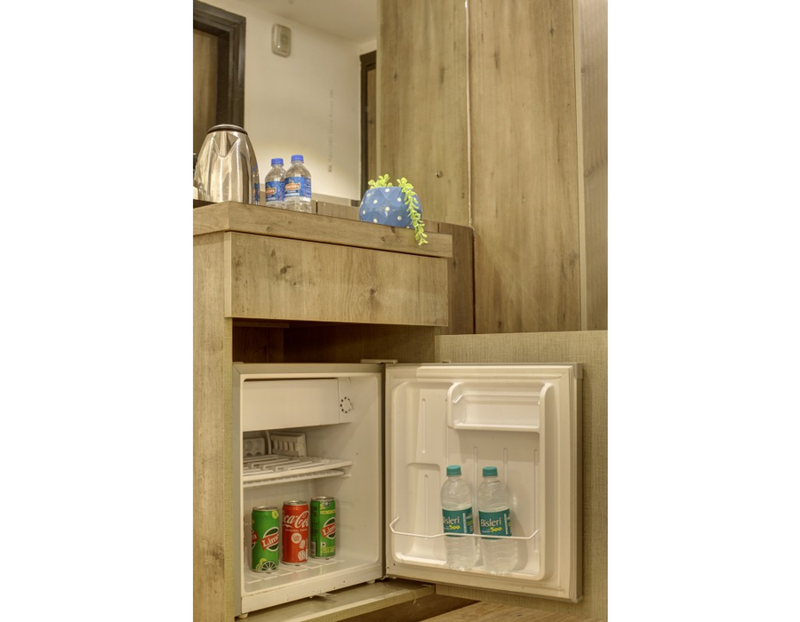 hotel town pallace patel nagar delhi