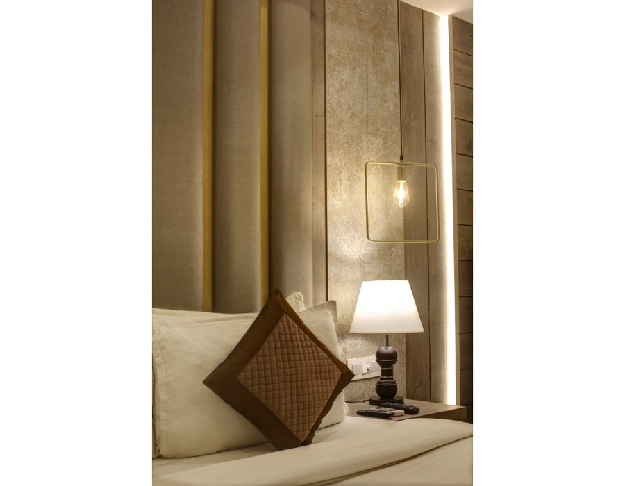 hotel town pallace patel nagar delhi