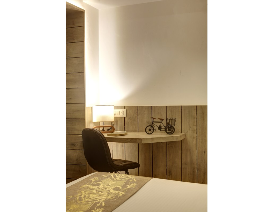 hotel town pallace patel nagar delhi