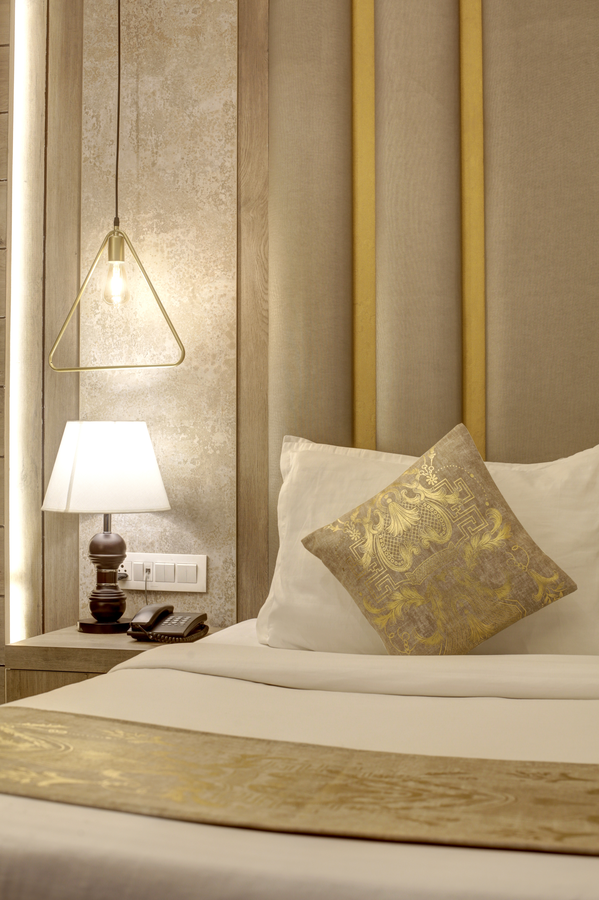 hotel town pallace patel nagar delhi