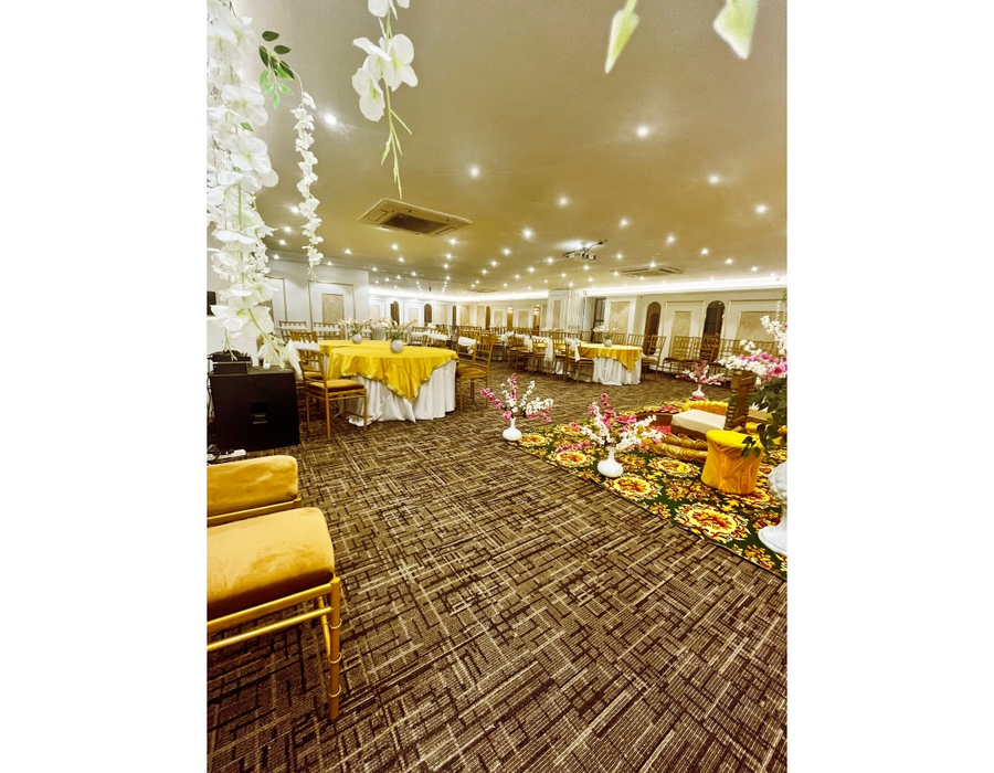 hotel town pallace patel nagar delhi