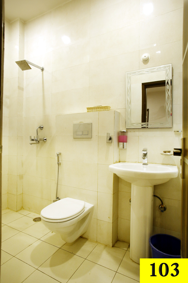 Hotel Lavenir,Rohtak,3 star