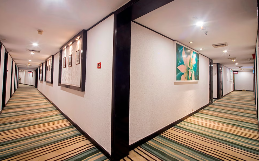 hotel shanti palace mahipalpur