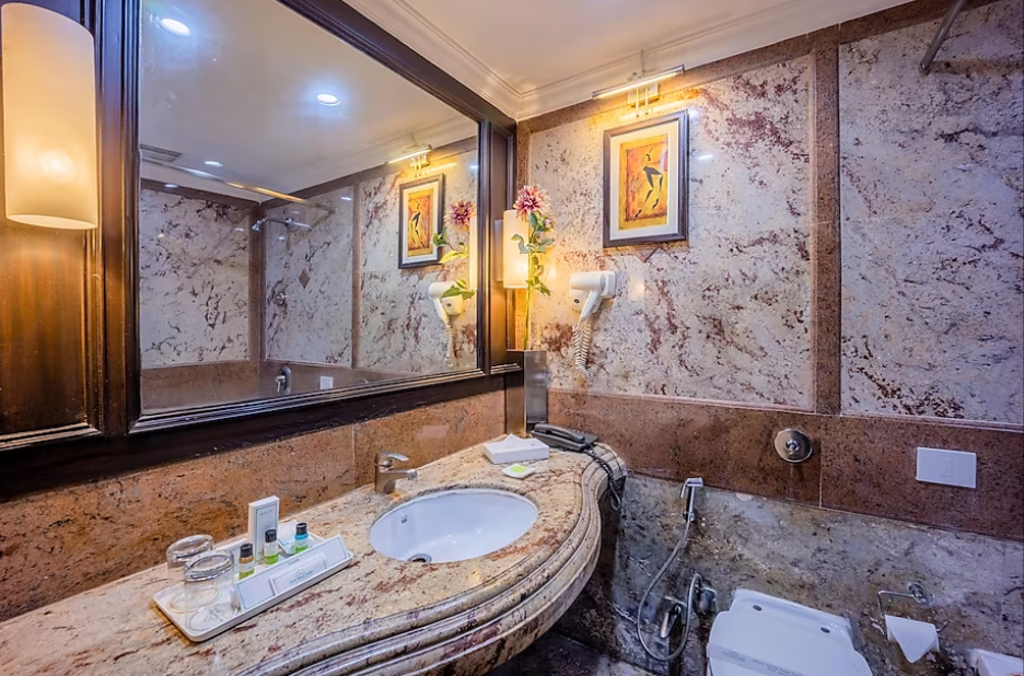 hotel shanti palace mahipalpur