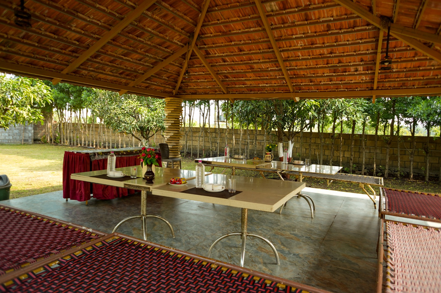 gir night resort