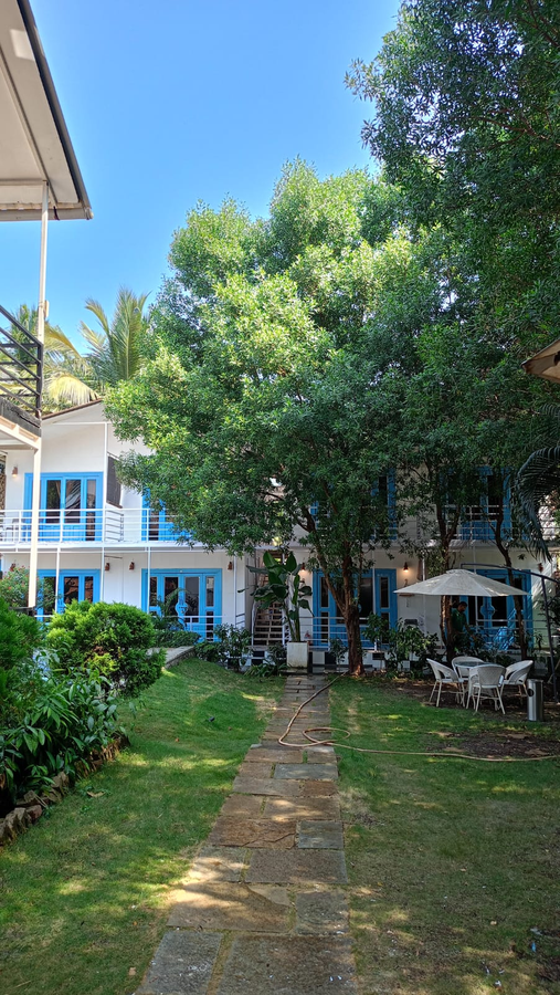 Boho By The Beach,1384/A Teamwaddo Pernem Morjim North Goa, 405312, Morjim, Goa 403512,3 star