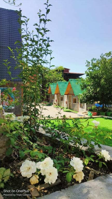 Mudras Grove Resort,Jeolikote,3 star