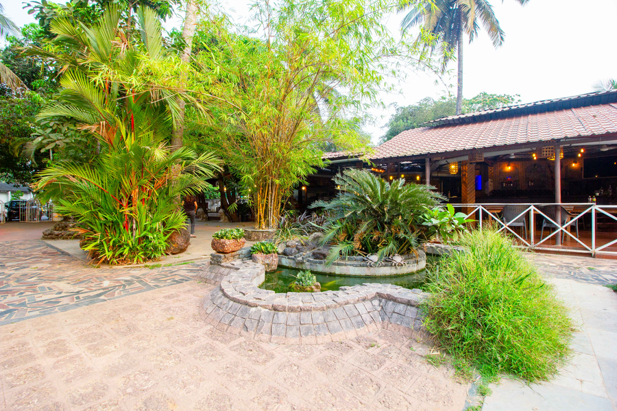 treebo kristal sands beach resort