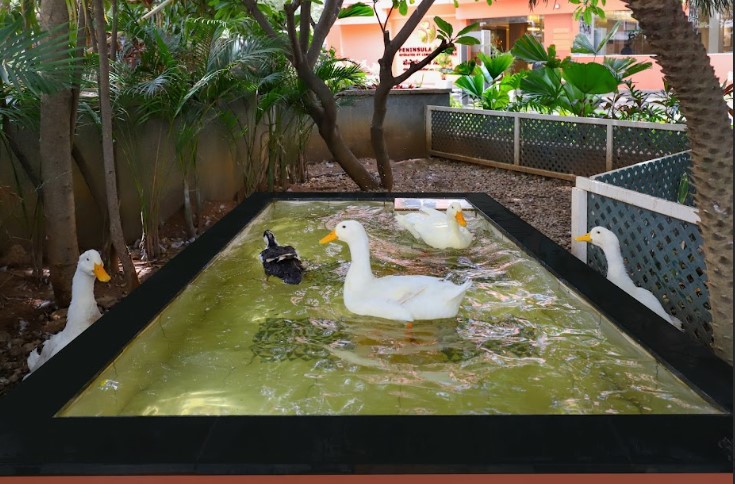 lemon tree suites whitefield bengaluru