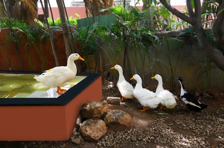 lemon tree suites whitefield bengaluru