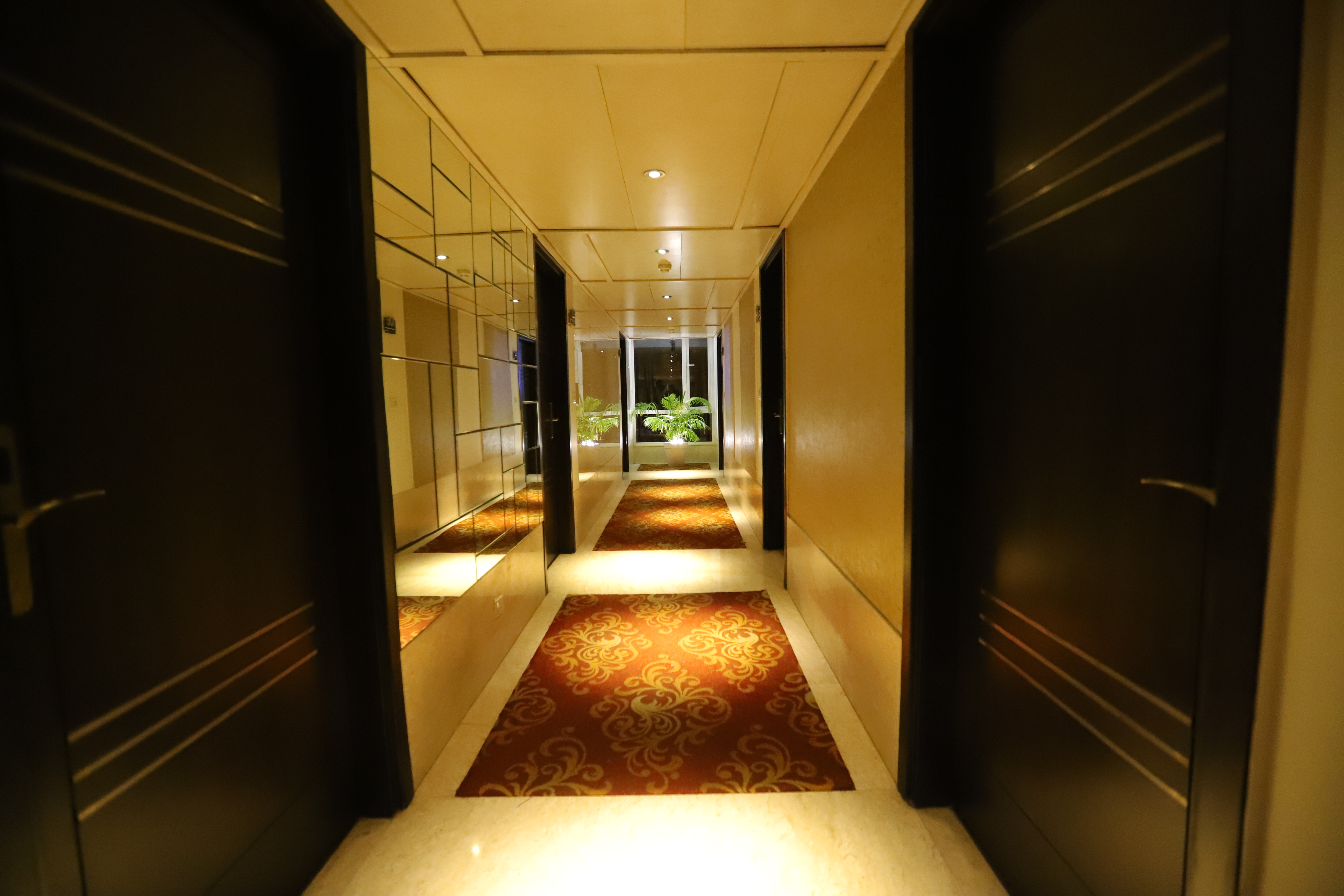 Hotel Amrapali Grand,Rajendra Place,4 star