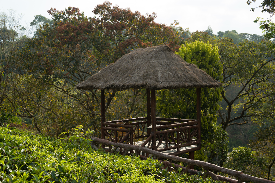 eterno camellia and elettaria luxury resort